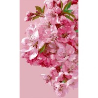 Картина по номерам Santi Пелюстки весни 30х50 см (955649)