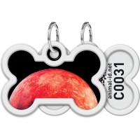 Адресник для тварин WAUDOG Smart ID з QR паспортом "Марс", кістка 40х28 мм (231-4031)