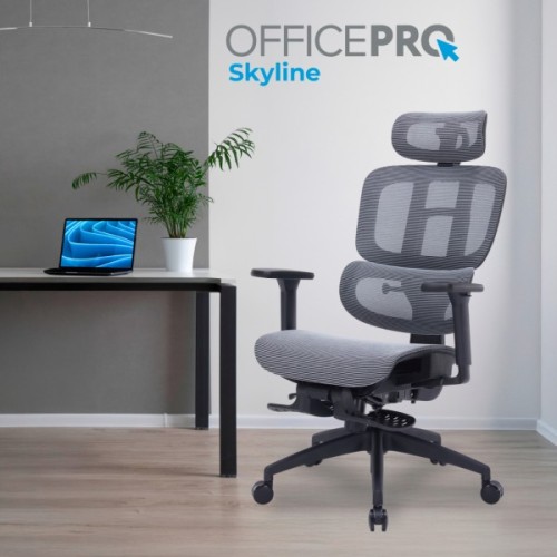 Офісне крісло OfficePro Skyline OC750-B-DG-DG (OC750-B-DG-DG)