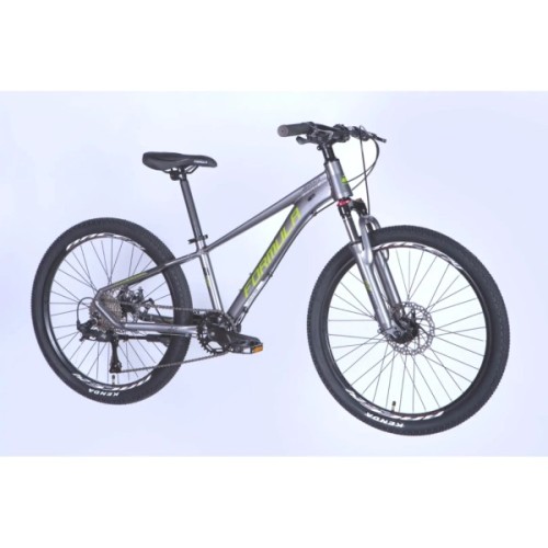 Велосипед Formula 24" ZEPHYR 3.0 DD CS рама-12" AL 2026 сірий з зеленим (OPS-FR-24-447)