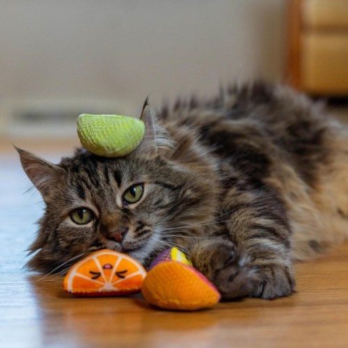 Іграшка для котів Catstages Фруктові дольки 4 шт з м'ятою (0700603720939)