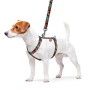Повідець для собак WAUDOG Nylon "Зубасті монстри" M Ш 20 мм Д 200 см (757-4048)