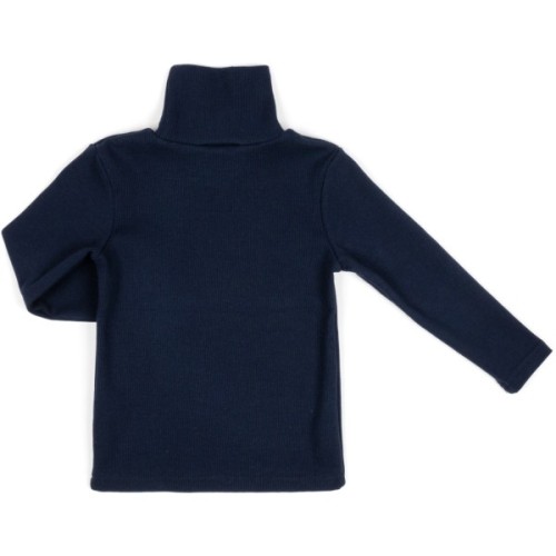 Кофта дитяча Cloise водолазка в рубчик (CLO105005-1-116-blue)