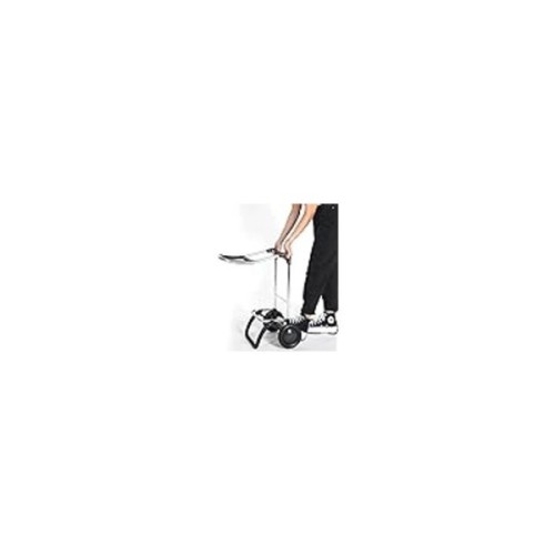 Сумка-візок Rolser Big Polar 2L Negro (BIG004-1023) (931703)