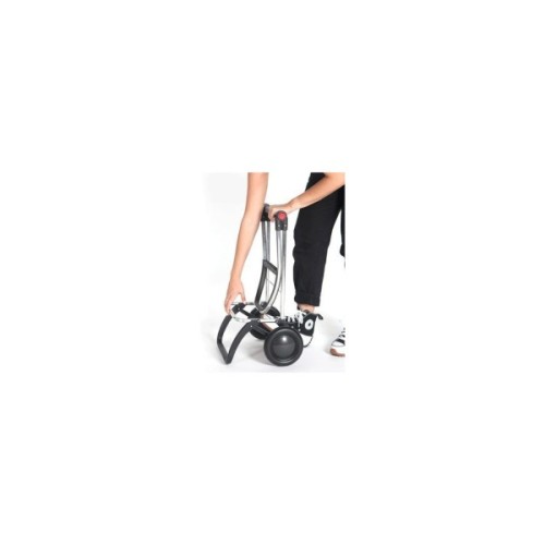 Сумка-візок Rolser Big Polar 2L Negro (BIG004-1023) (931703)