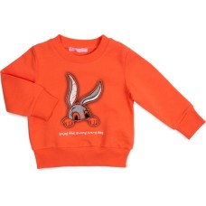 Кофта дитяча First kids із зайчиком (11008-104G-orange)