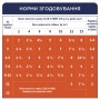 Вологий корм для собак Club 4 Paws для цуценят з куркою в желе 100 г (4820083908897)