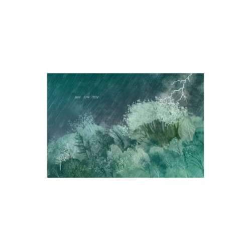 Книга Туконі - мешканець лісу - Оксана Була Видавництво Старого Лева (9786176794929)