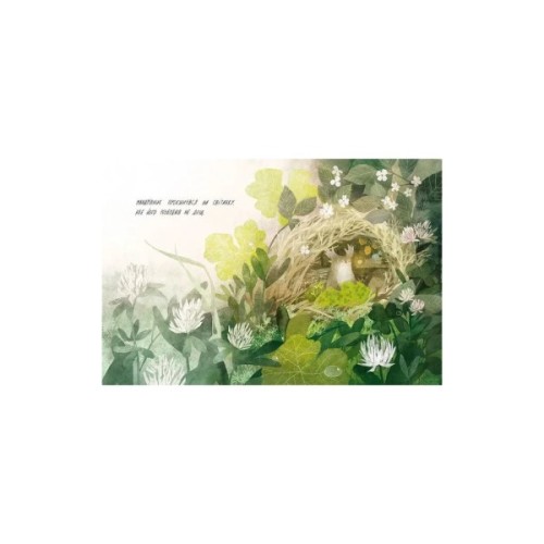 Книга Туконі - мешканець лісу - Оксана Була Видавництво Старого Лева (9786176794929)