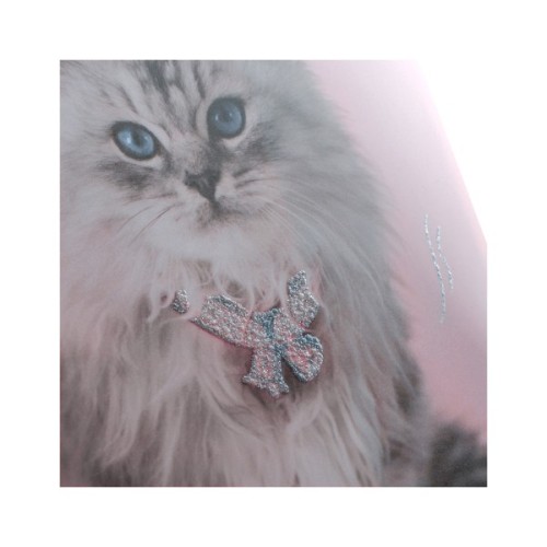 Папка на резинках Kite A4 Rachael Hale (R25-247)