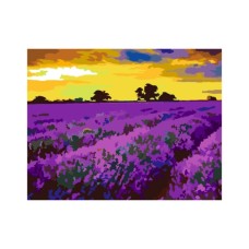 Картина по номерам Rosa Start Лаванда в Провансі 35 х 45 см (4823098518785)