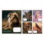 Зошит 1 вересня Into the wild А5 48 аркушів лінія (769131)