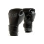 Боксерські рукавички Everlast Powerlock 2 Pro Training H&L Glove P00002428 чорний 16 унцій (009283609658)
