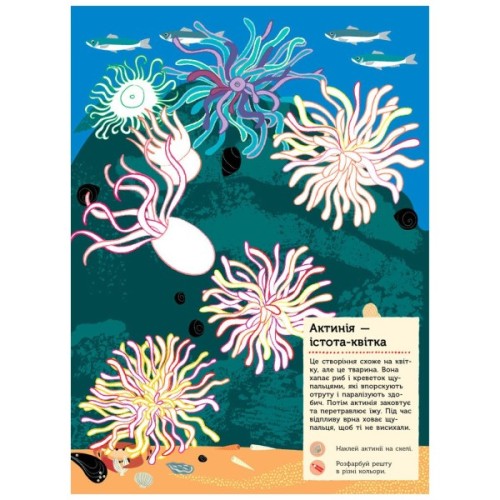 Книга На березі моря. Моя книга природи - Олівія Косно Ранок (9786170941022)