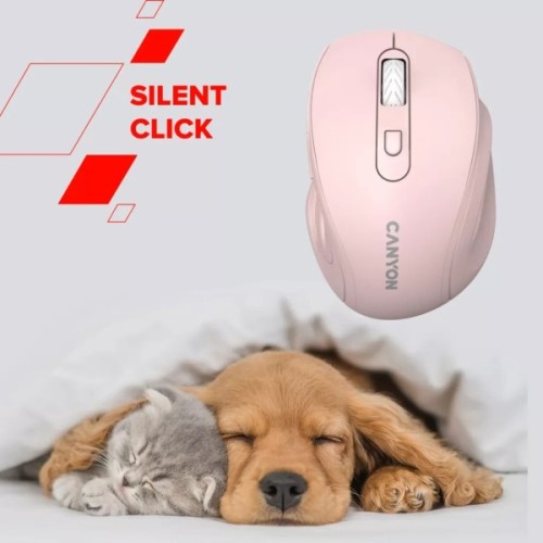 Мишка Canyon OnClick 20 Wireless Dark Gray (CNE-CMSW20DG)