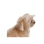 Кепка для тварин Pet Fashion Glamor ХS (4823082445950)