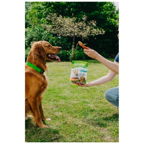 Ласощі для собак Whimzees Toothbrush L 6 шт (8718627750681)