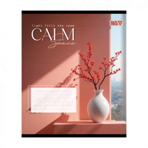Зошит Yes Calm space А5 48 аркушів клітинка (769108)