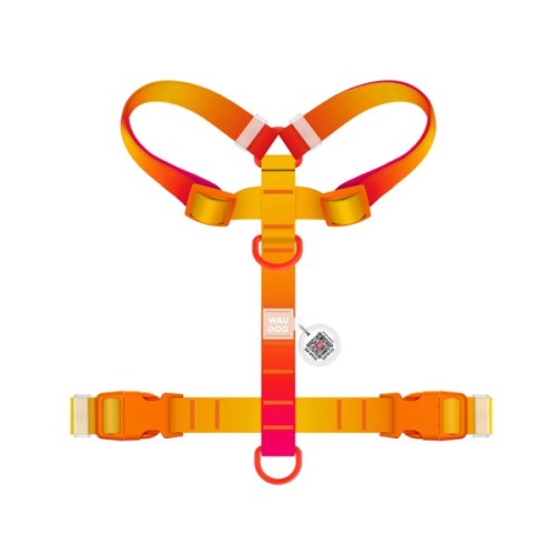 Шлея для собак WAUDOG Nylon Recycled анатомічна H-подібна з QR-паспортом, пластиковий фастекс, XL помаранчева (47544)