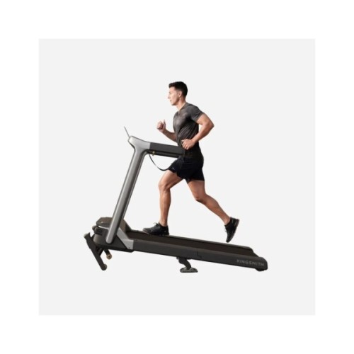 Бігова доріжка Kingsmith WalkingPad Treadmill WP500L5 (G5I)