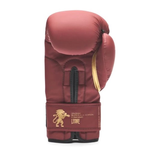 Боксерські рукавички Leone GN059X Bordeaux ED 14 унцій (капа в комплекті) (GN059X_BORDEAUX_14oz)