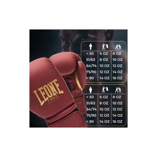 Боксерські рукавички Leone GN059X Bordeaux ED 14 унцій (капа в комплекті) (GN059X_BORDEAUX_14oz)