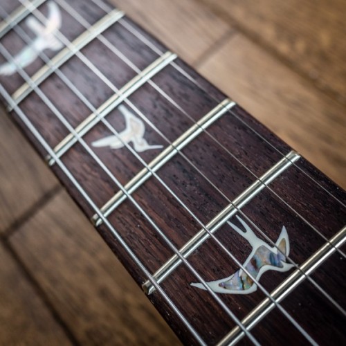 Електрогітара PRS Custom 24 10 Top Faded Whale Blue