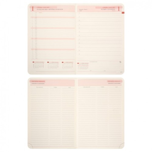 Тижневик Leo planner А5 датований 2026 "Boss", м'який, хакі, 368 сторінок (252635)