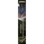 Книга Діти Землі. Книга 1: Клан Печерного Ведмедя - Джин М. Авел BookChef (9786175485538)