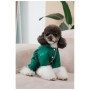 Комбінезон для тварин Pet Fashion EGO S зелений (4823082437696)