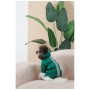 Комбінезон для тварин Pet Fashion EGO S зелений (4823082437696)