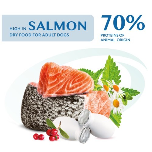 Сухий корм для собак Optimeal для мініатюрних порід з високим вмістом лосося 700 г (4820269140011)