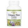 Вітамінно-мінеральний комплекс Natural Factors Здоров'я Сечових шляхів, Urinary Flow Formula, 90 капсул (NFS-04630)