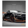 Зошит Школярик Cars posters 96 аркушів лінія (096-3572L)