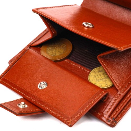 Гаманець Canpellini З натуральної шкіри Коричневий (21743)