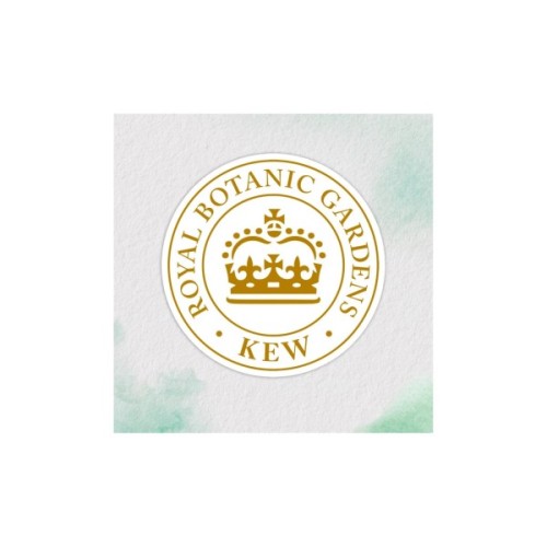 Маска для волосся Herbal Essences Кокос Живильна 300 мл (8700216209922)