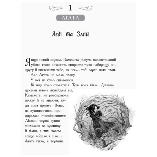 Книга Кристал часу. Книга 5. Школа добра і зла - Зоман Чейнані Ранок (9786170963055)