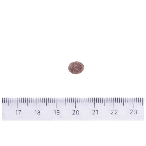 Сухий корм для собак Brit Care Dog Sustainable Adult Small Breed з куркою та комахами 1 кг (8595602558674)