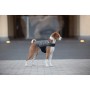 Курточка для тварин Airy Vest XXS чорна (15401)