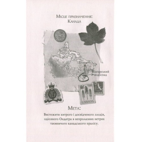 Книга Агата Містері. Крадіжка на Ніагарському водоспаді. Книга 4 - Сер Стів Стівенсон Видавництво РМ (9786178639556)
