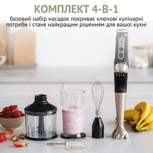 Блендер QUIN RHB-301