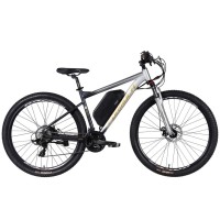 Електровелосипед Formula 29" eF-1 DD CS рама-18,5" 48B 17.5А*г 500Вт 2026 сріблясто-чорний (ELB-FR-29-252)