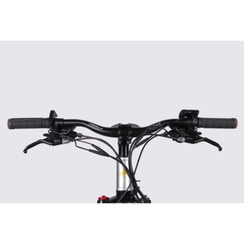 Електровелосипед Formula 29" eF-1 DD CS рама-18,5" 48B 17.5А*г 500Вт 2026 сріблясто-чорний (ELB-FR-29-252)