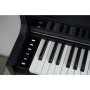 Цифрове піаніно Casio AP-S450BK (363169)