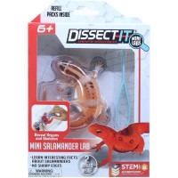 Навчальний набір Joker Slimy Lab Анатомія тварин - Саламандра S (38085)