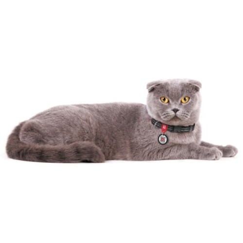 Нашийник для тварин WAUDOG Re-cotton з QR паспортом для котів та дрібних порід собак XS сірий (164011)