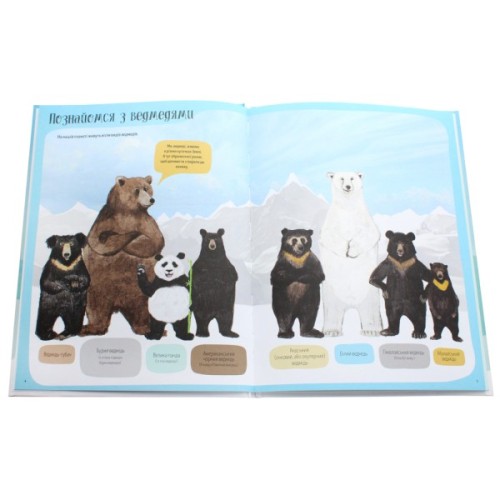 Книга Ведмежа книга - Кейті Віґґерс Жорж (9786177579624)