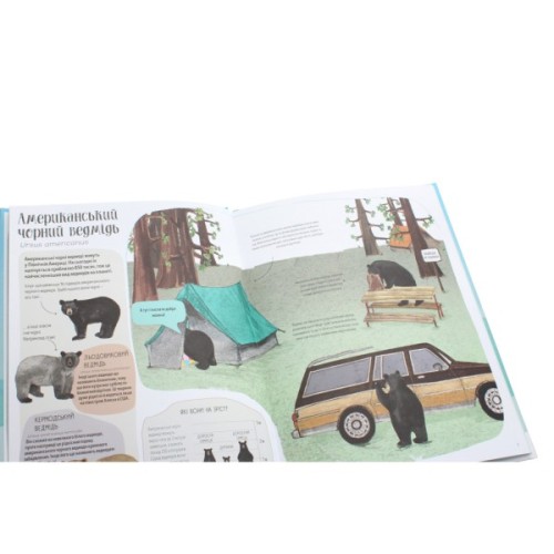 Книга Ведмежа книга - Кейті Віґґерс Жорж (9786177579624)