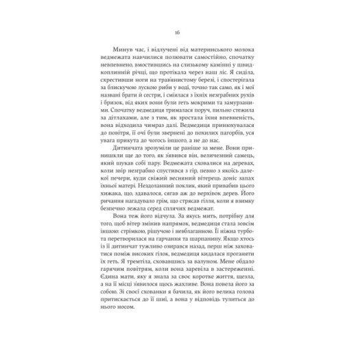 Книга Аталанта - Дженніфер Сейн Yakaboo Publishing (9786178225421)