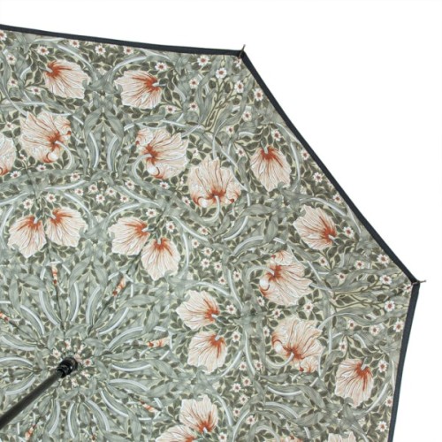 Парасоля Fulton L856-041062 Morris & Co. Bloomsbury Pimpernel Bayleaf Manilla (L856-041062)
